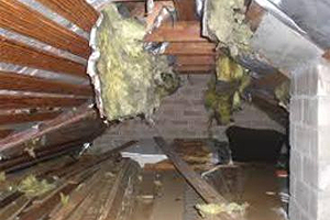 Zerstörte Dämmung Marder Dachboden