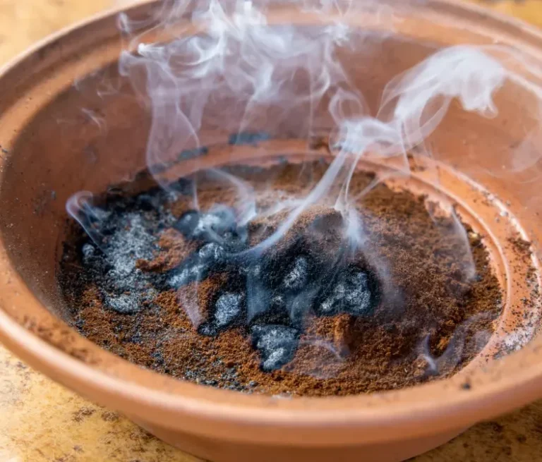 Glimmendes Kaffeepulver Glimmendes Kaffeepulver ist keine Behandlung für ein Wespennest